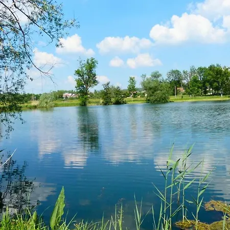 Bulle De L'etang - Etat Nature