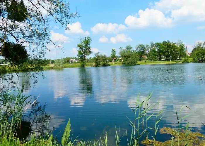 Bulle De L'etang - Etat Nature